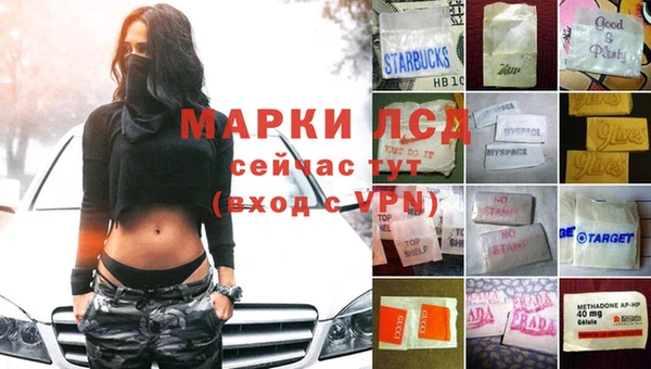гашик Алексеевка